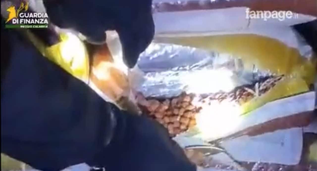 Maxi sequestro di droga a Gioa Tauro: 435 kg di cocaina nascosta in mille sacchi di noccioline
