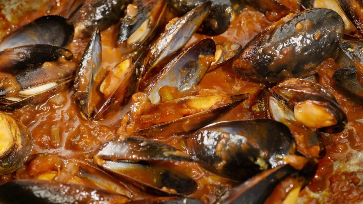 immagine di repertorio