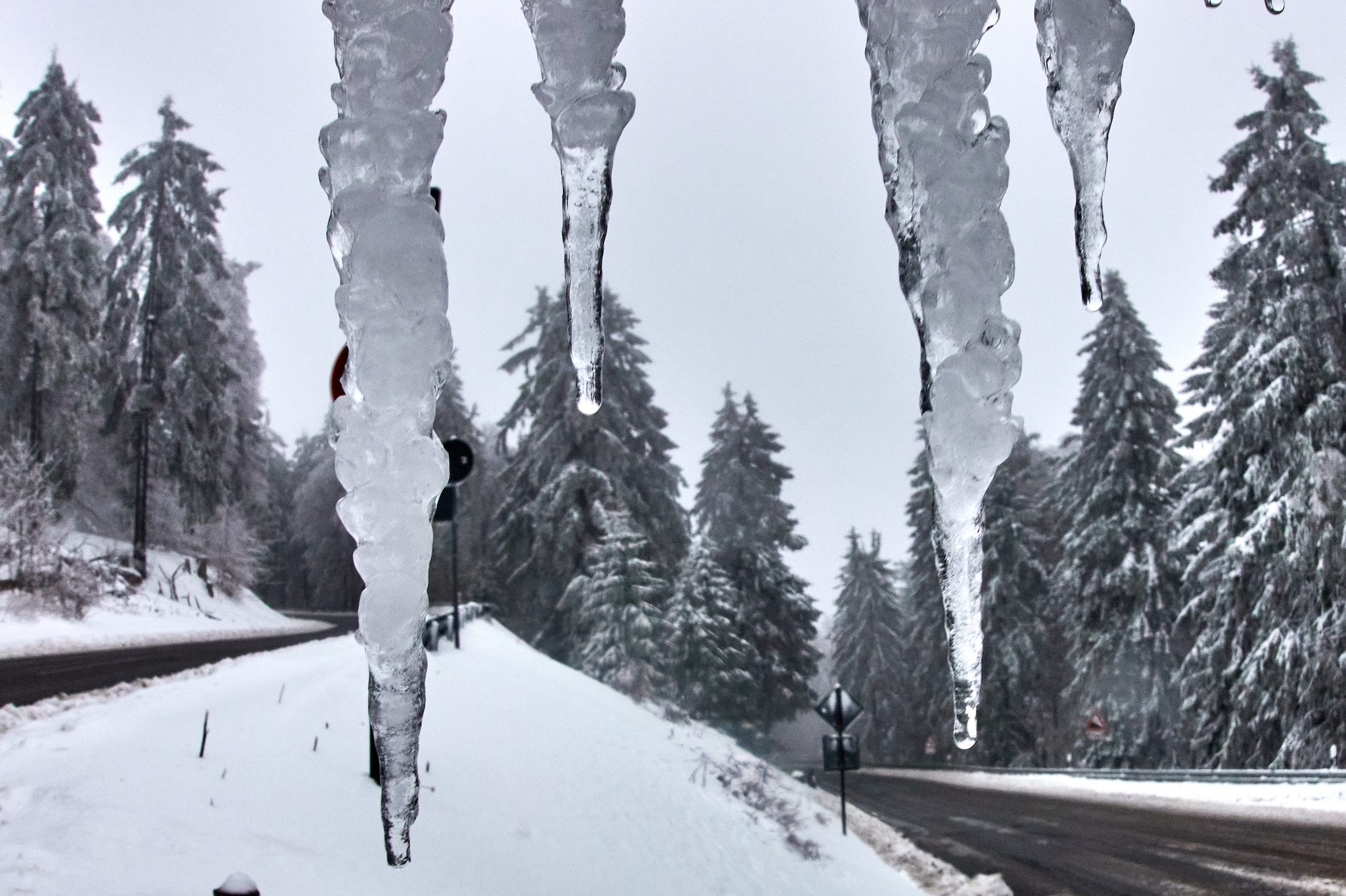 Gelo anche in Francia