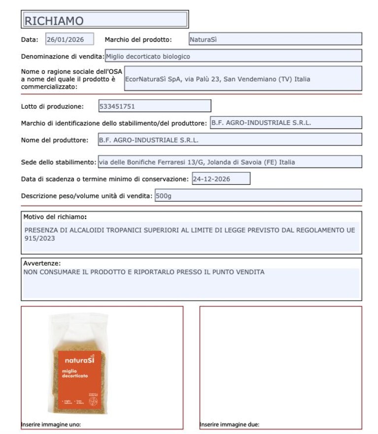 Immagine