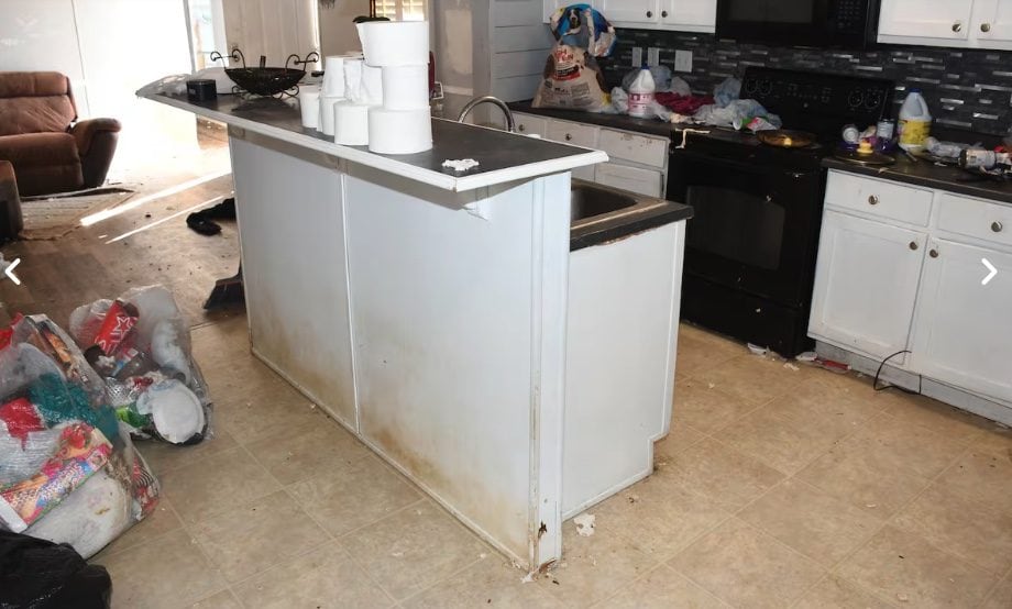 A 14 anni abbandonata per mesi con 7 cani, in casa un biglietto: “Per 87 volte mamma ha detto che non può venire”