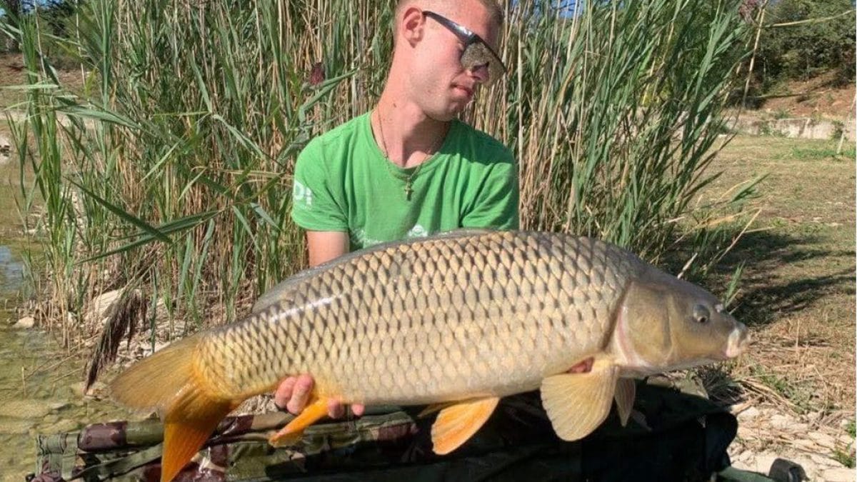 Andrea D’Agostini è morto all’età di 22 anni