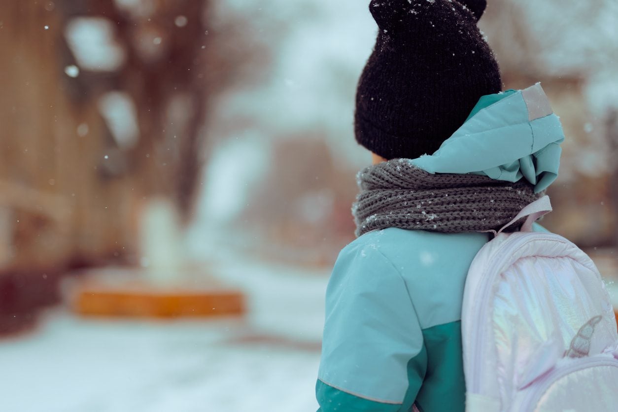 L'11enne cacciato dal bus senza biglietto: "Non sentivo più le gambe dopo 6 km nella neve". Sospeso l'autista