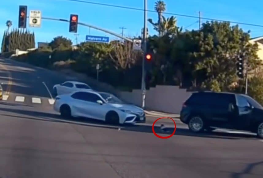 Neonato vola fuori dall’auto e finisce in mezzo all'incrocio: la scena in un video virale, arrestata la mamma