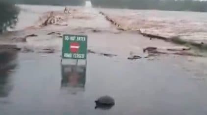 Inondazioni in Mozambico e Sudafrica: decine di morti in poche ore e strade spazzate via dalla pioggia