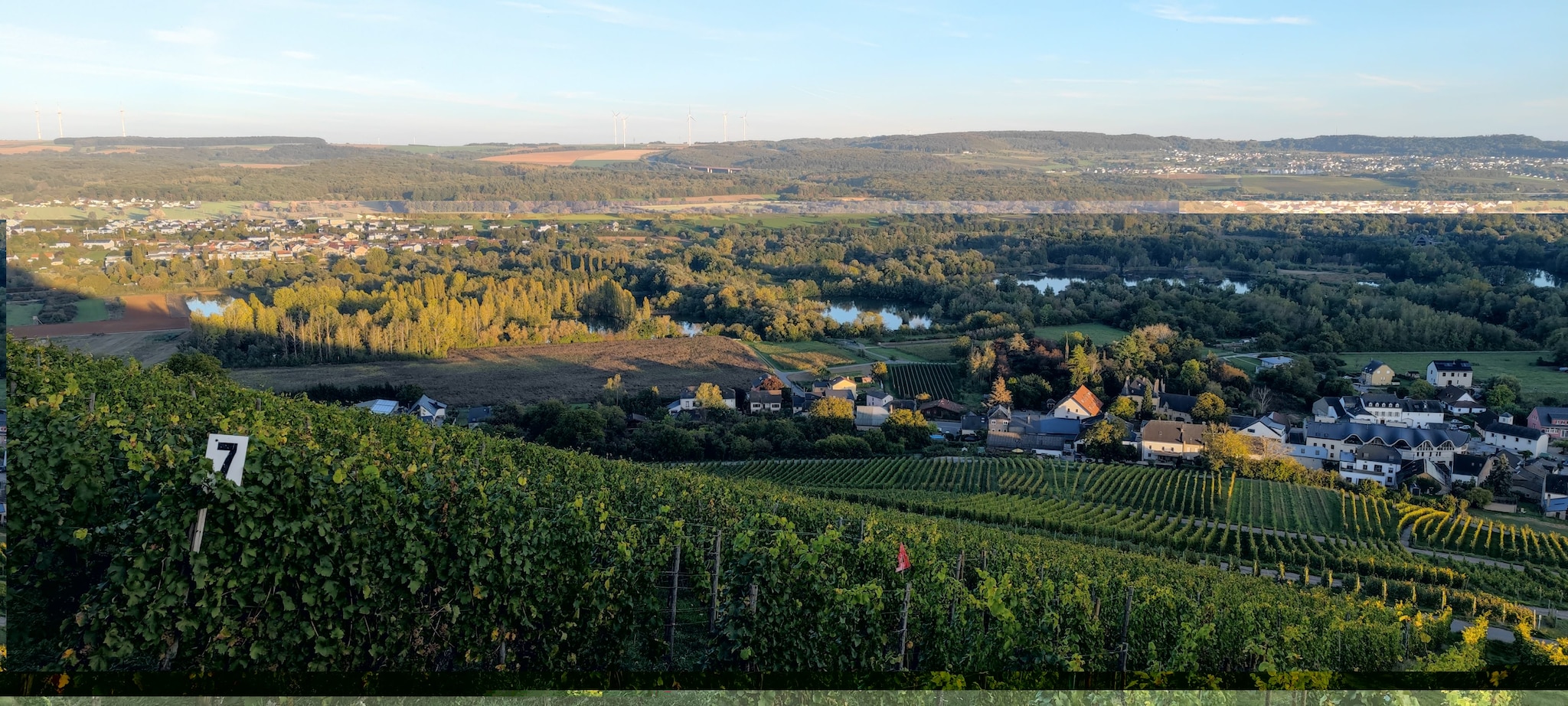 Vista di vigneti dell’area di Schengen.
