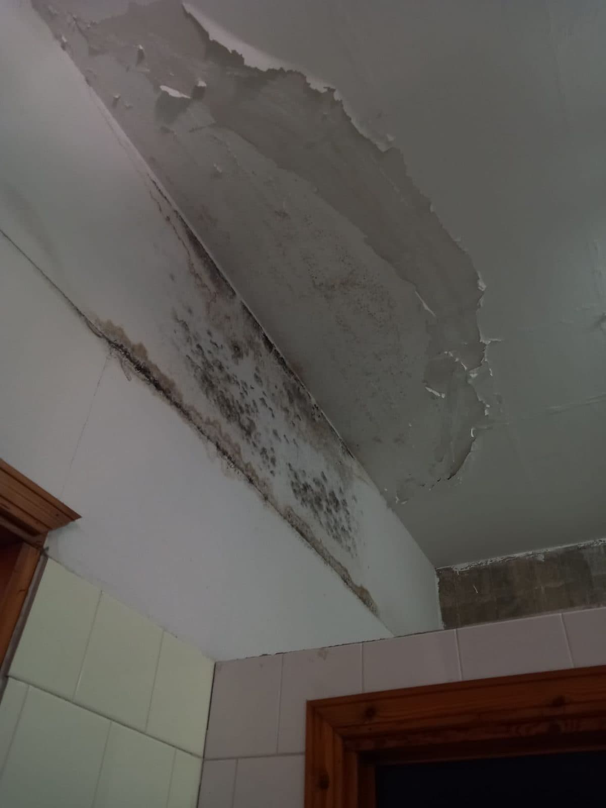 Muffa e infiltrazioni d’acqua all’Ettore Majorana di San Giovanni La Punta (Catania)