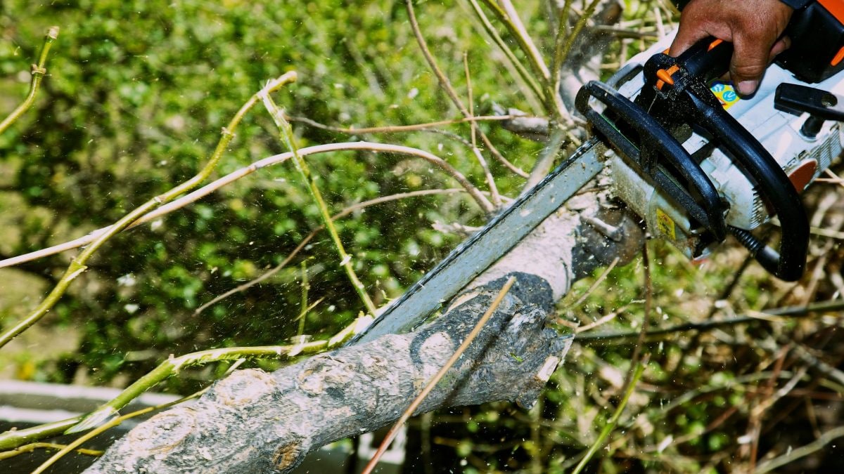 Immagine di repertorio.