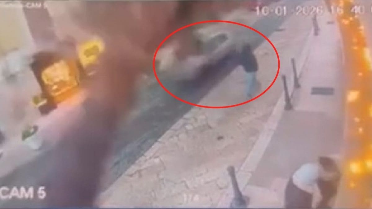 L’istante del crollo della palma in un video