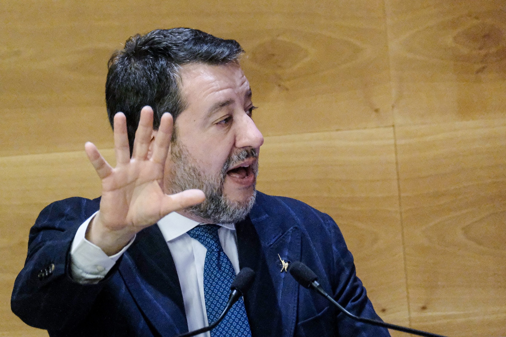 Decreto Sicurezza, oltre al metal detector la Lega vuole limitare i ricongiungimenti familiari dei migranti