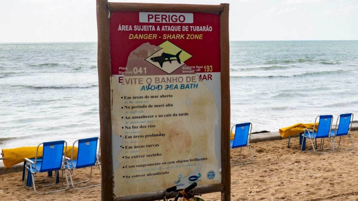 Un cartello di pericolo squali a Recife