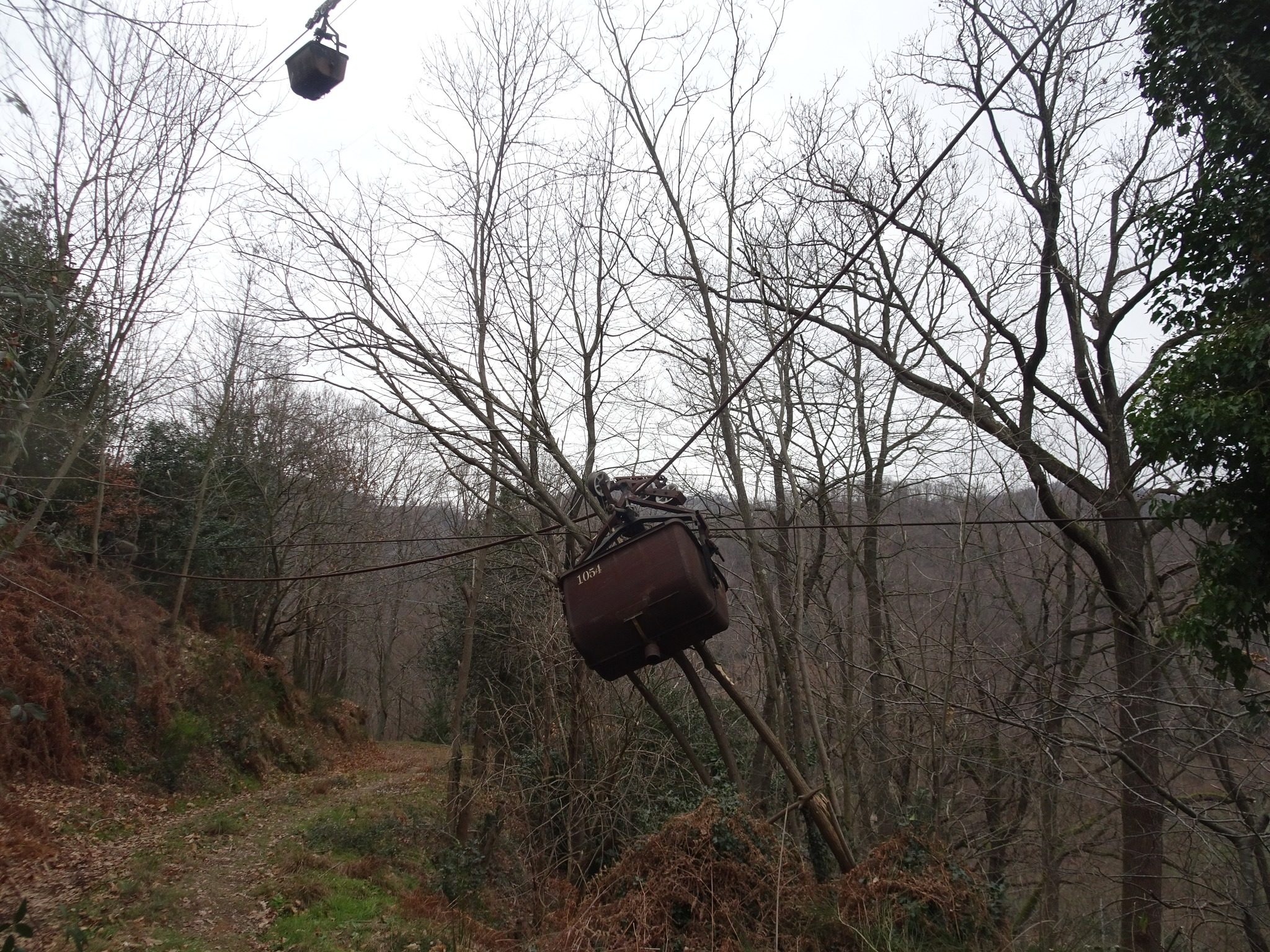 I vagonetti della funivia precipitano nel bosco a Savona: "Shock terribile, a rischio la sicurezza di tutti"
