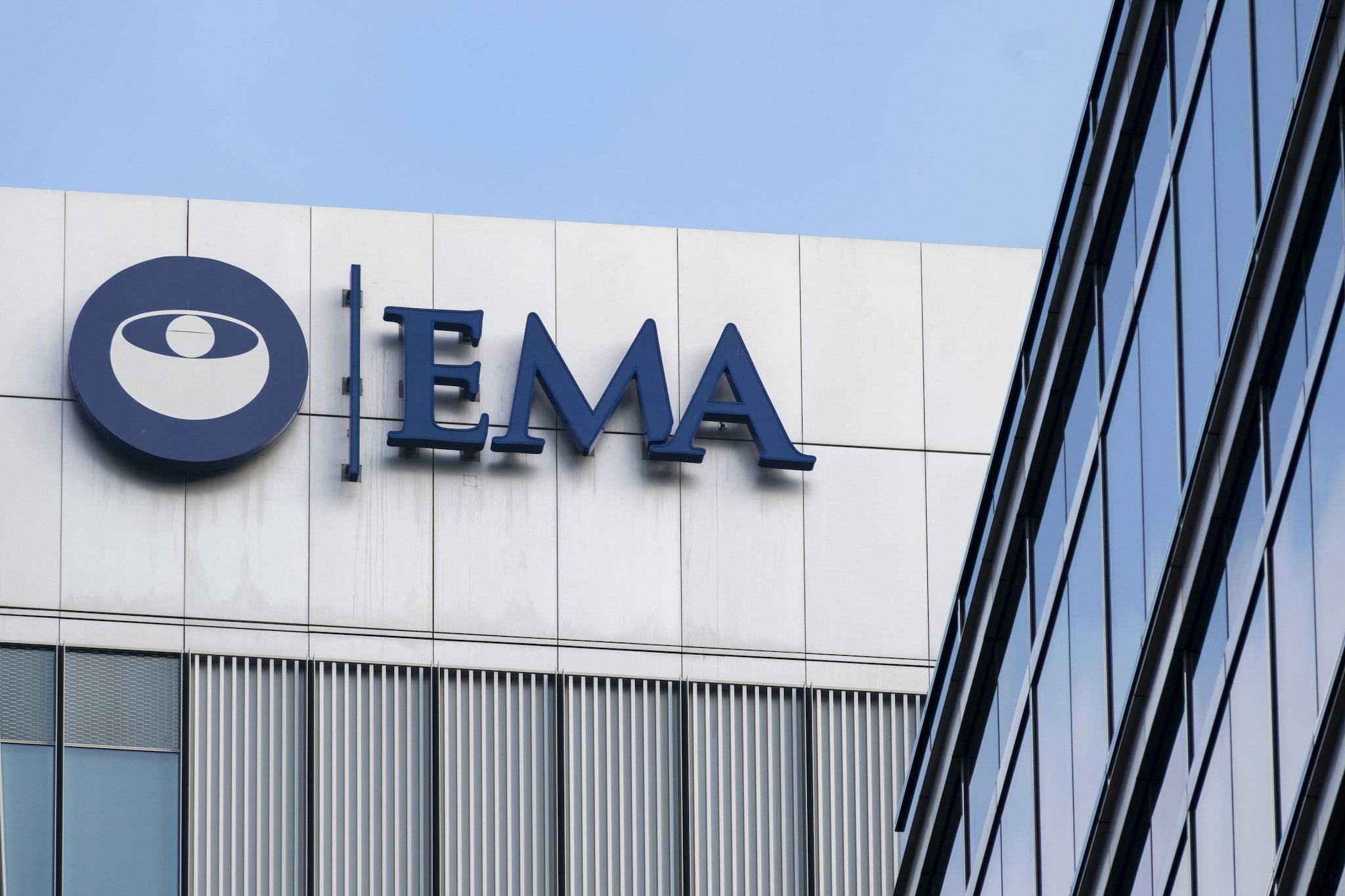 L'Ema ordina il ritiro immediato di farmaci con levamisolo: "Possibili danni al cervello dopo un solo utilizzo"