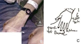 Mano sinistra, via studio