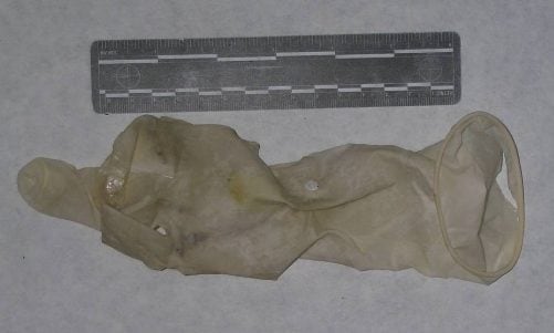 Guanto in lattice trovato sull’albero