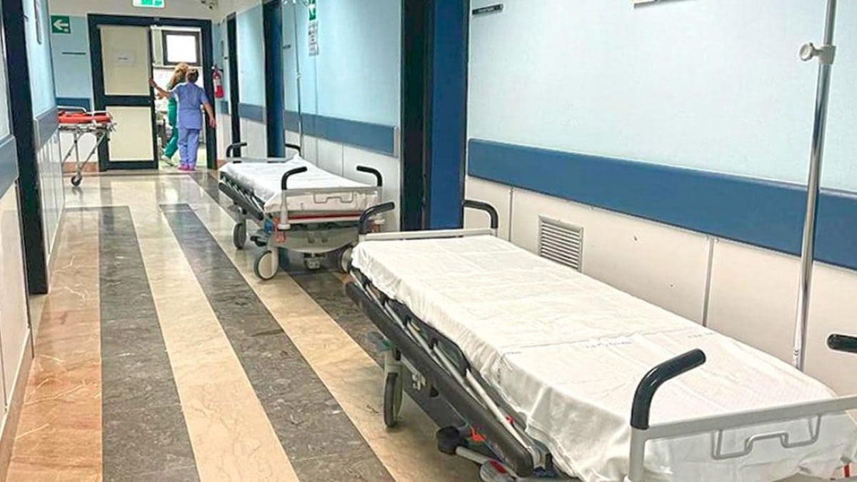 immagine di repertorio