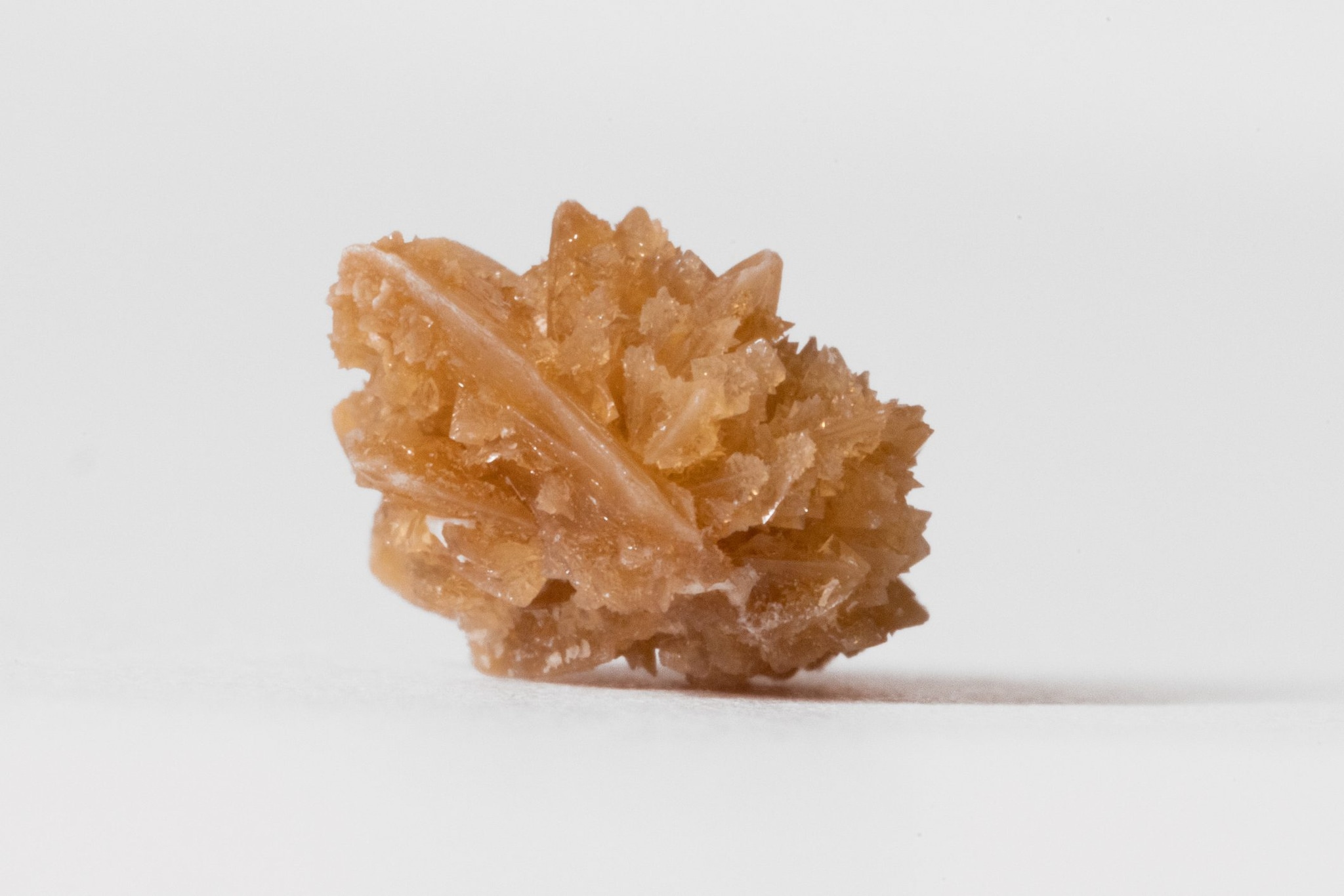 Rubano in casa e portato via due pepite dal cofanetto ma erano due calcoli renali: ladri beffati a Pordenone