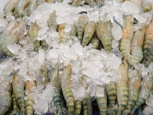 Richiamate mazzancolle surgelate per rischio chimico: l’avviso del Ministero della salute