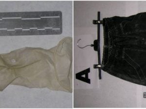 Garlasco, vestiti e un guanto sull’albero: cosa hanno trovato intorno alla villetta e che indagini sono state fatte