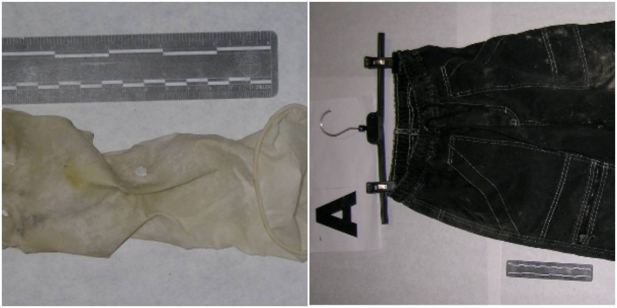 Garlasco, vestiti e un guanto sull’albero: cosa hanno trovato intorno alla villetta e che indagini sono state fatte