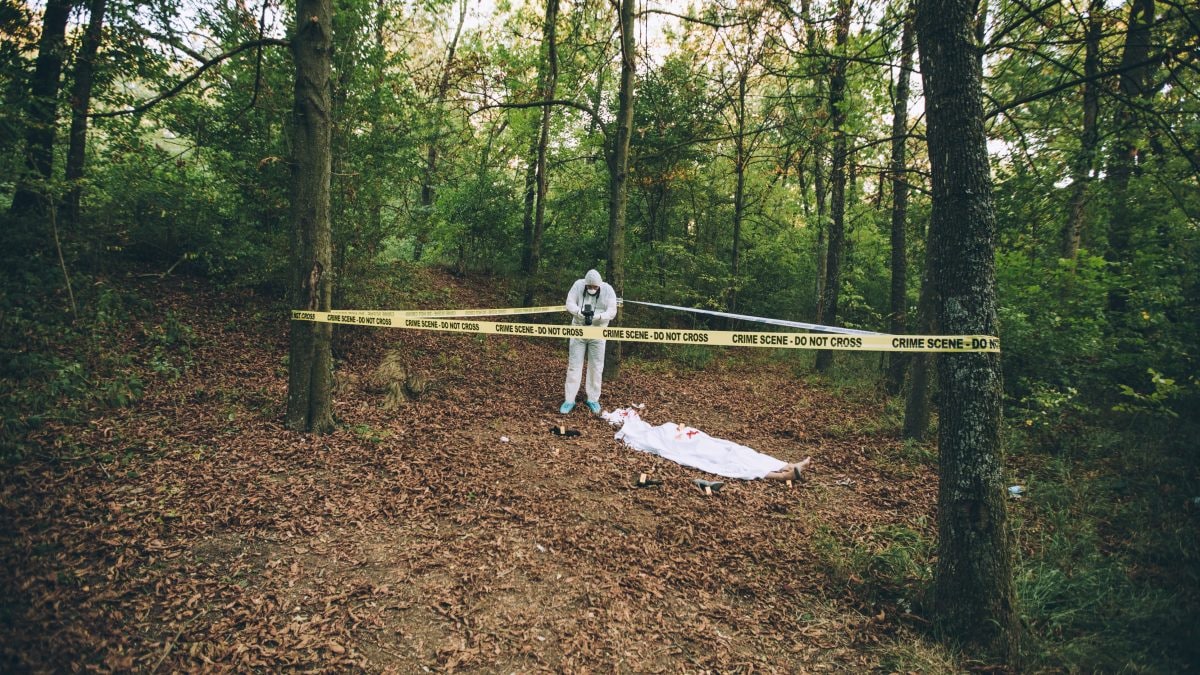 Immagine di repertorio