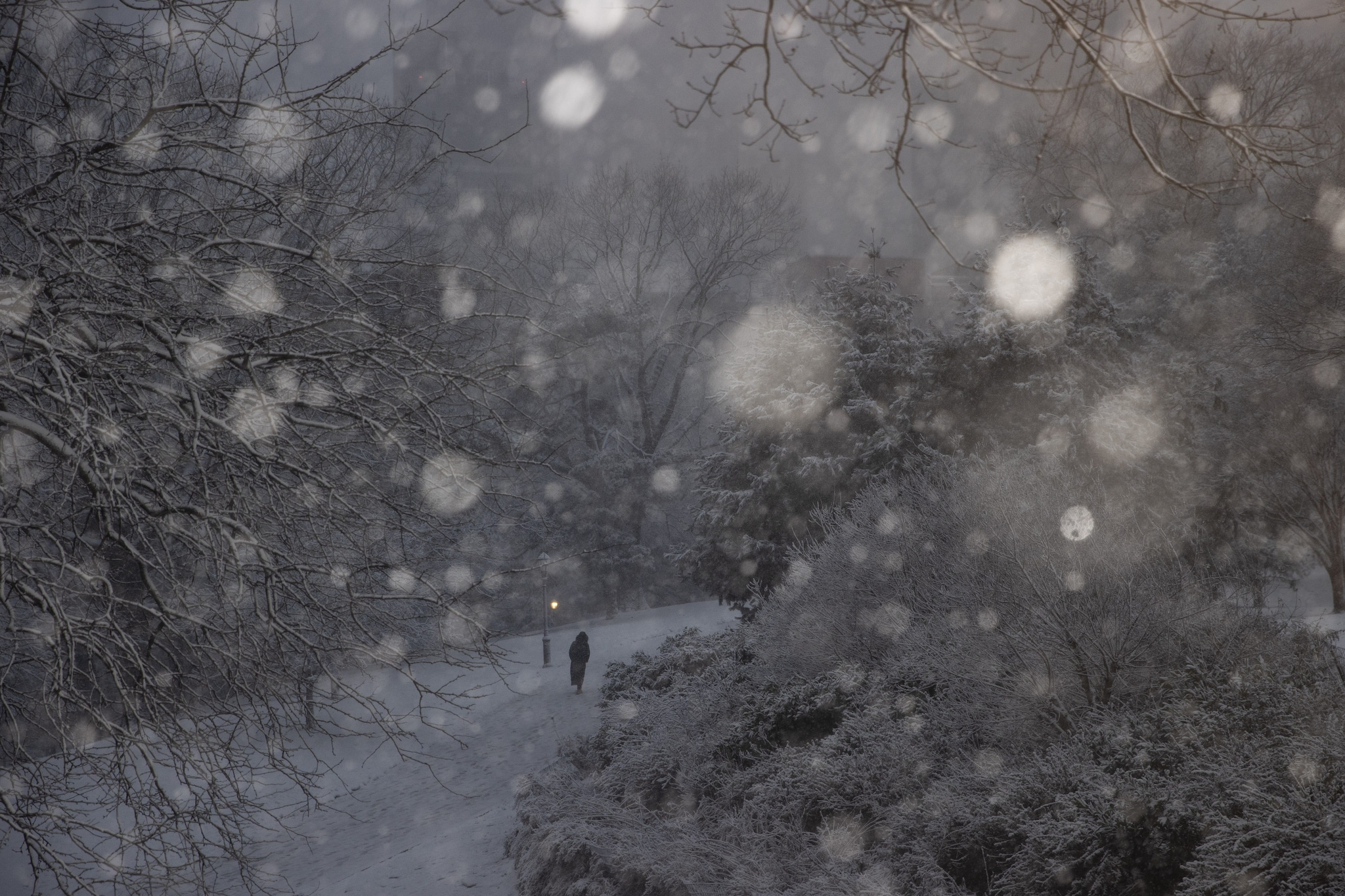 Una persona cammina a Fort Greene Park, Brooklyn, durante la tempesta di neve.