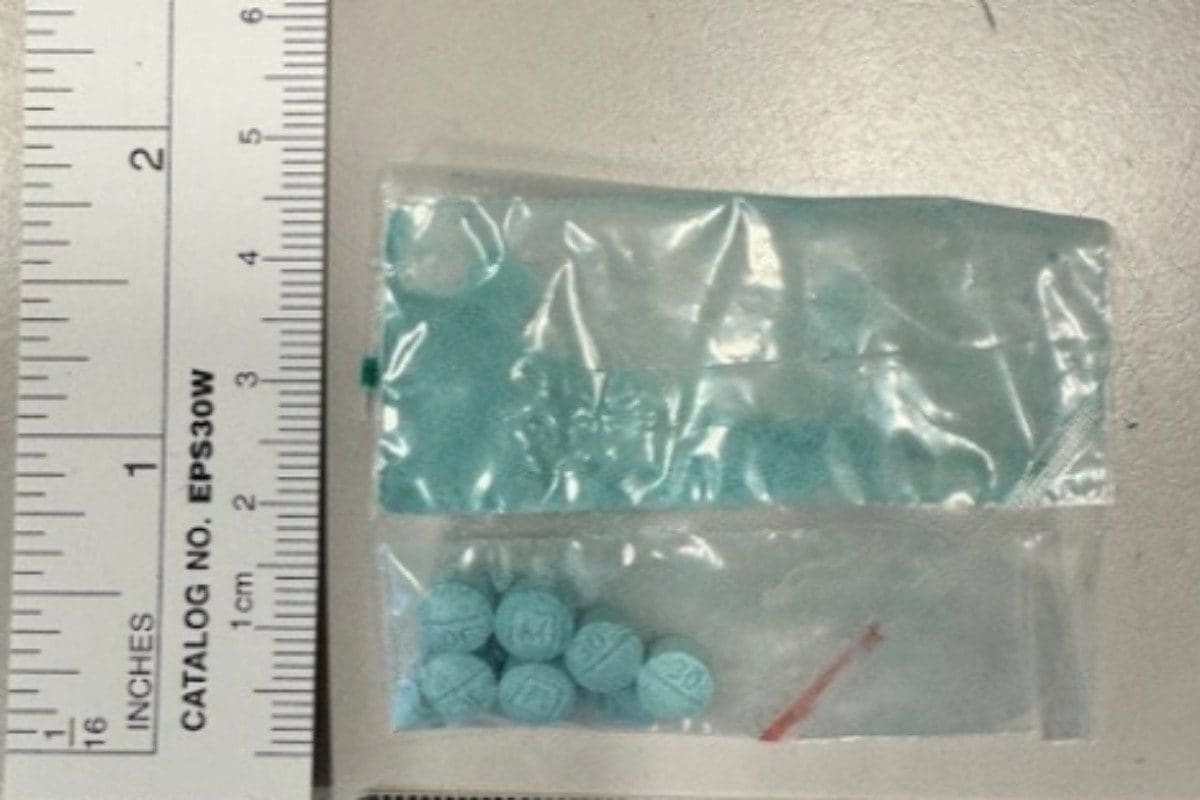 Nitazeni, la nuova droga che arriva dal web più potente del Fentanyl: "Bastano pochi nanogrammi per uccidere"