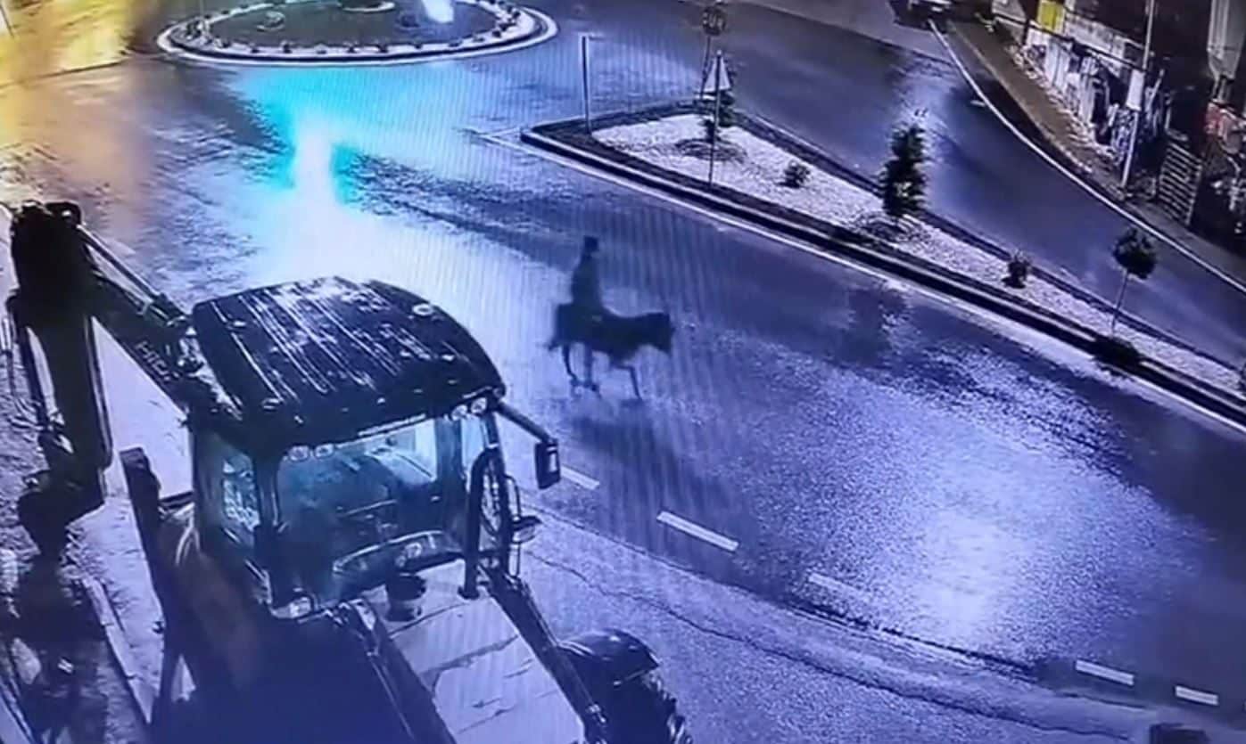 Assalta gioielleria con carrello elevatore e fugge in sella all'asino: "Mi sono ricordato che mi servivano soldi"