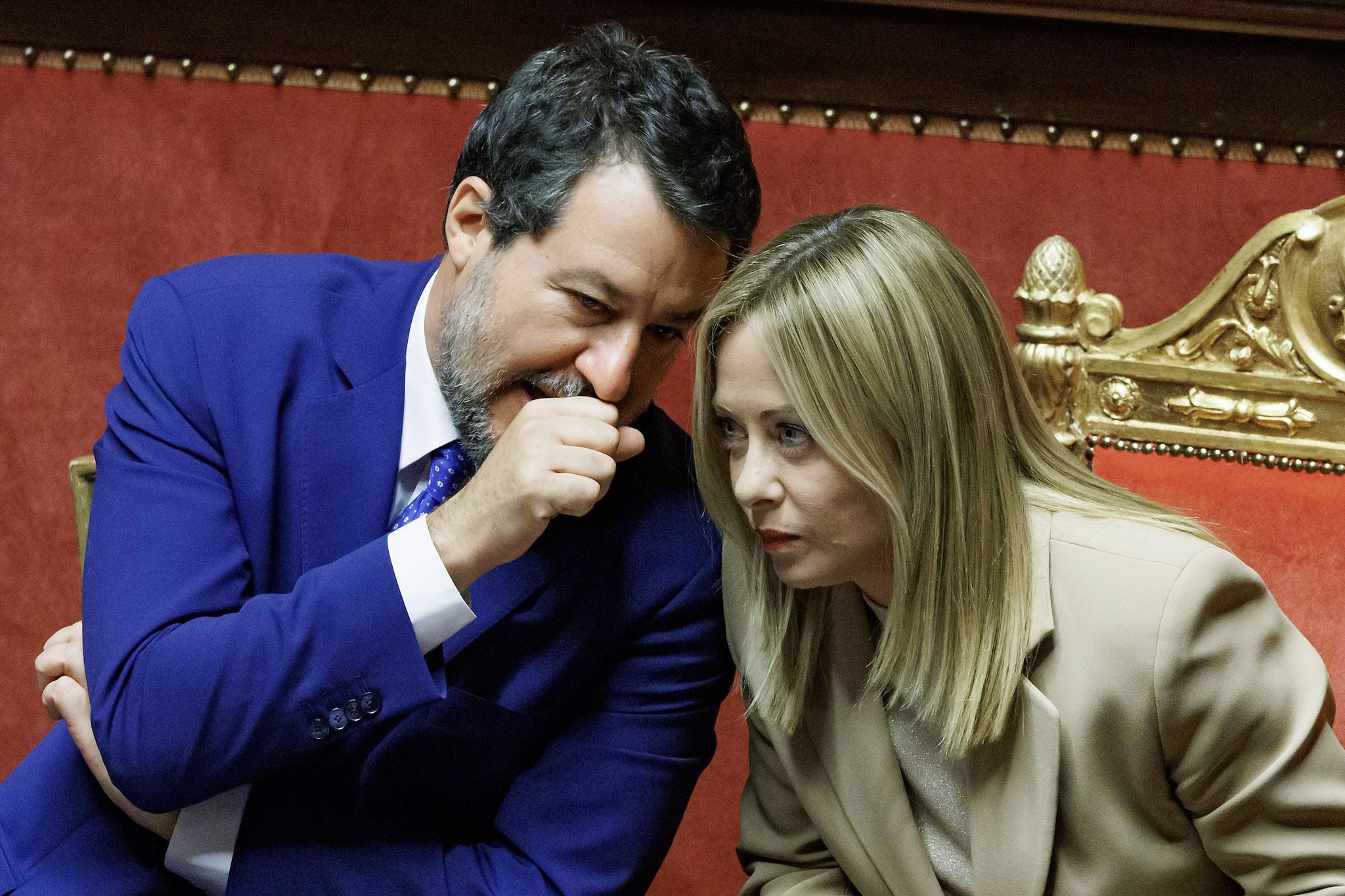 Sondaggi politici, Fratelli d'Italia ancora primo, segue il Pd: FI allunga lo stacco con la Lega