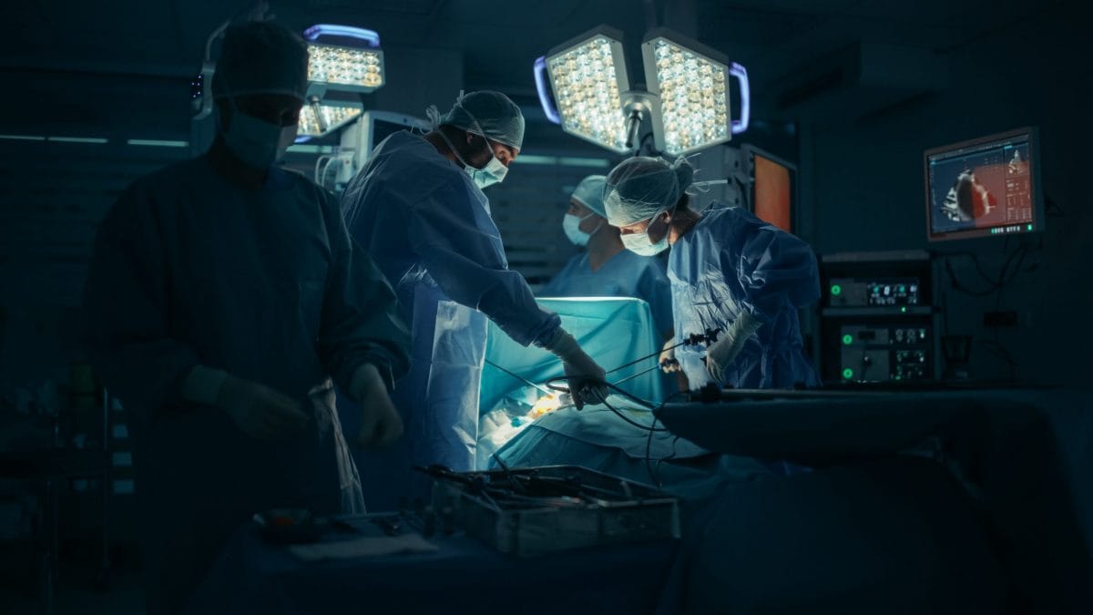 Immagine di repertorio.