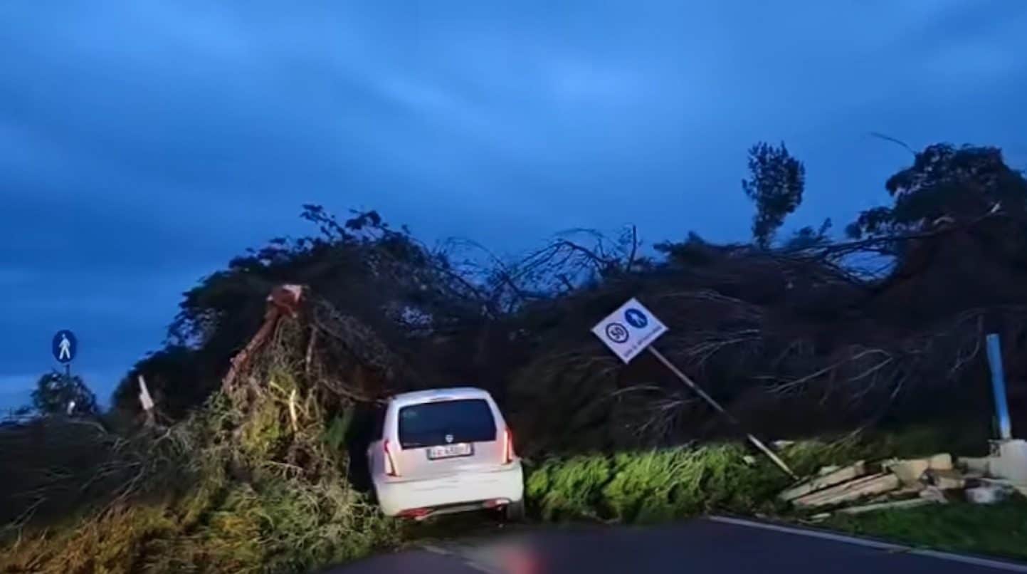 Brindisi, tromba d'aria abbatte alberi e muri: colpite auto e case, il video degli ingenti danni
