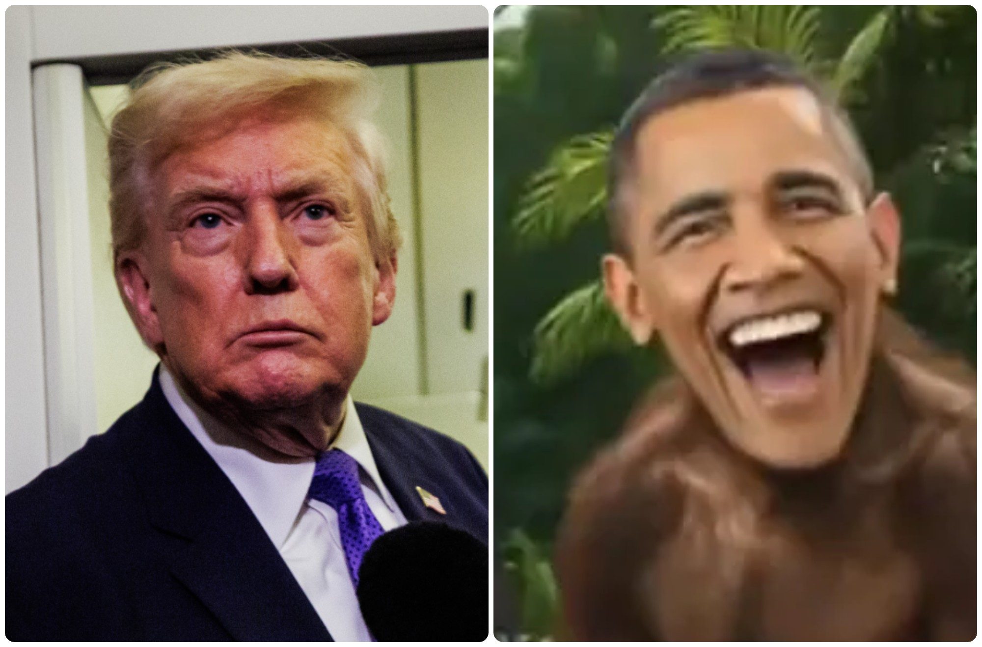 Trump non si scusa per il video razzista sugli Obama: "Non ho sbagliato, non l'avevo visto tutto"