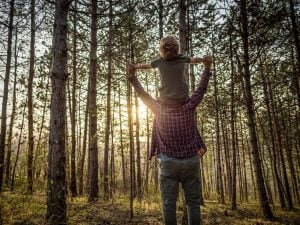 Famiglia nel bosco, sospeso il trasferimento dei bimbi dalla casa famiglia: “Sono sereni e integrati”