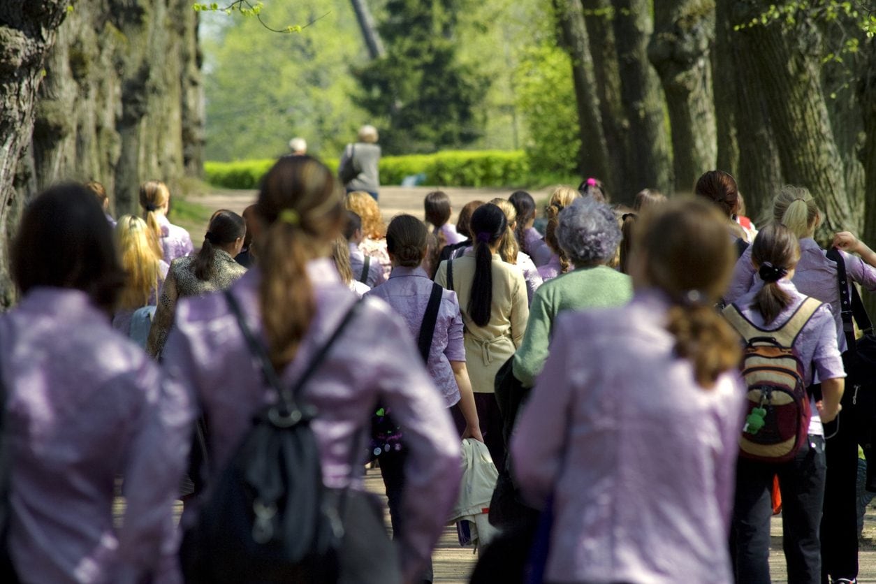 Si sentono male in gita, 18 studenti finiscono in ospedale a Reggio Emilia: "Intossicazione alimentare"