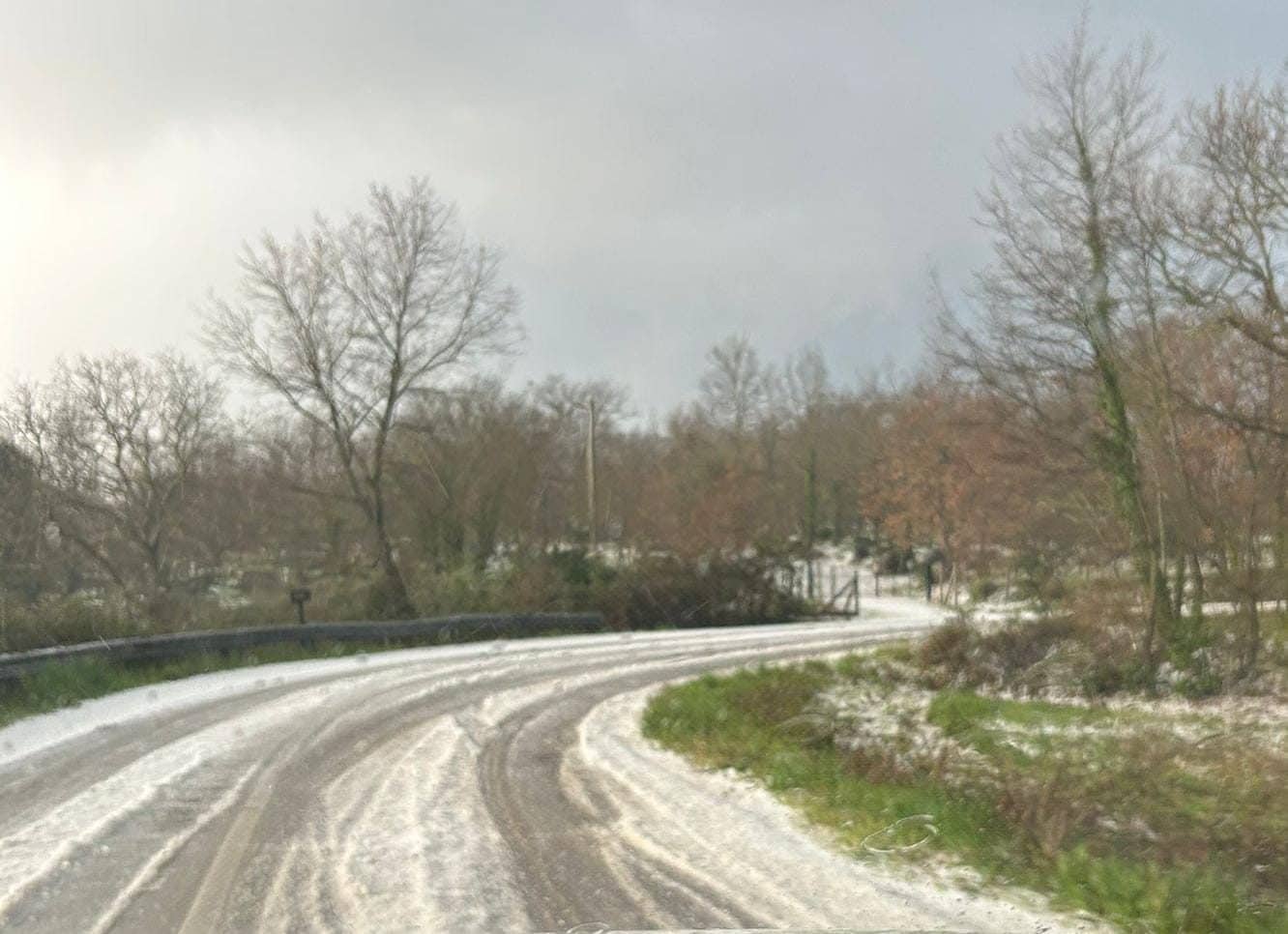 Grandinata 'invernale' sul Gargano: strada totalmente imbiancata tra San Nicandro e San Marco