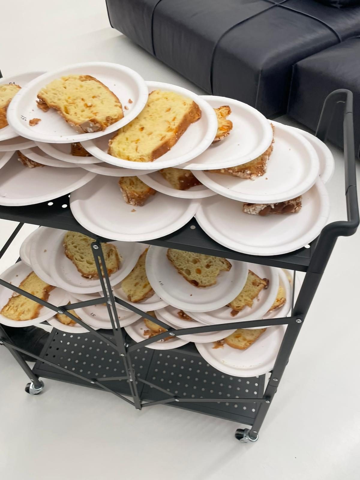 Le colombe proposte durante il test erano indistinguibili