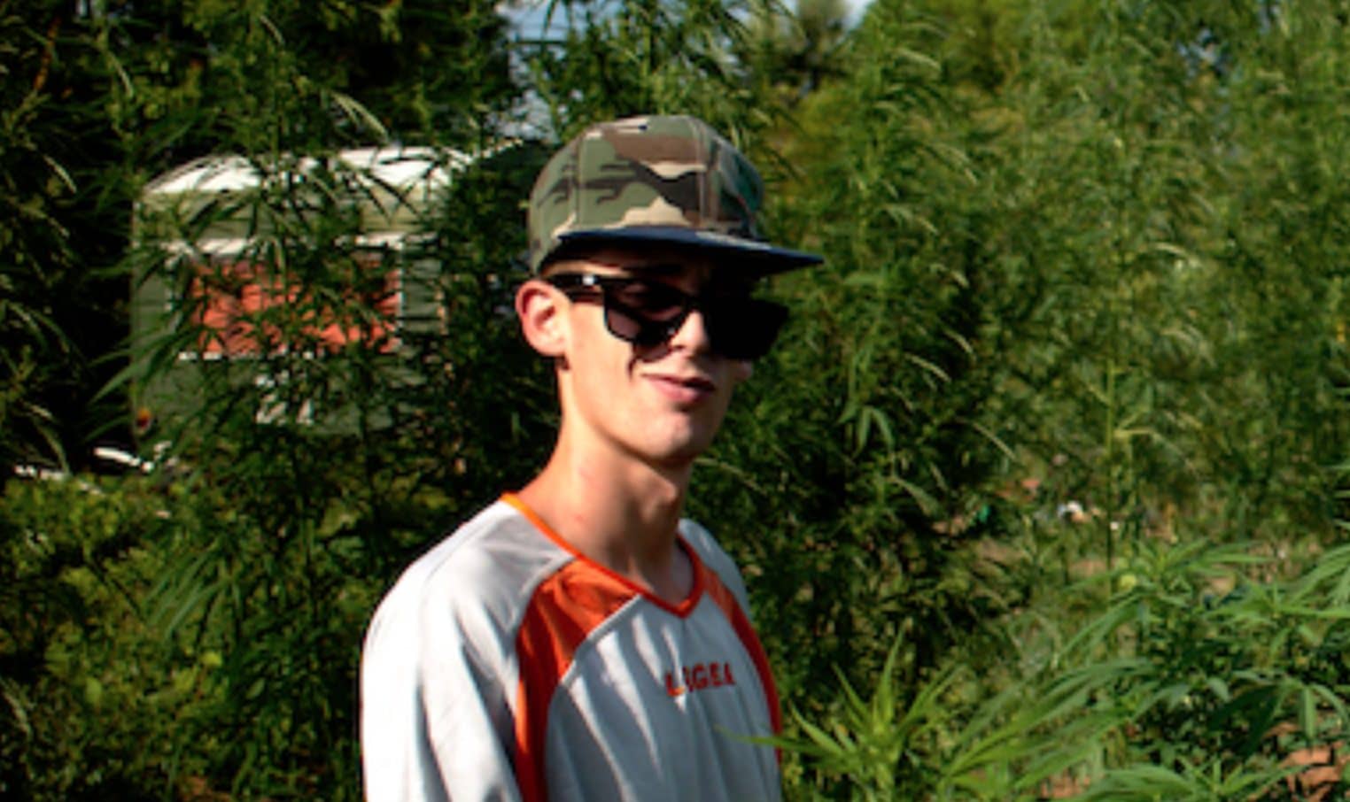 Mattia Giorgi trovato morto in casa a Piombino, i cani potrebbero averlo ferito dopo il decesso