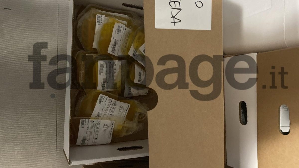 Sacche di plasma non inviato alla plasmaderivazione perché non congelato