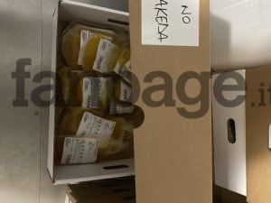 Sacche di plasma buttate nelle Marche, Regione minimizza. Acquaroli: “Faremo verifiche ma non strumentalizzare”