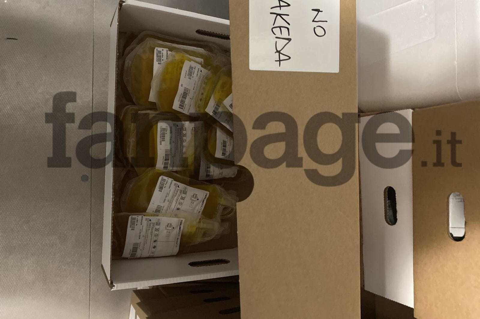 Sacche di plasma non inviato alla plasmaderivazione perché non congelato: verranno gettate