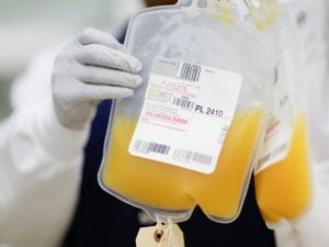 Sangue buttato nelle Marche, la denuncia di Ilenia, malata oncologica: “Quelle sacche di plasma per noi sono vita”