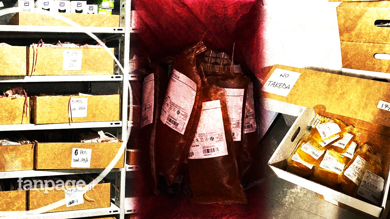 Sacche di plasma sprecate nelle Marche, la Regione minimizza lo scandalo del sangue e dà numeri sbagliati