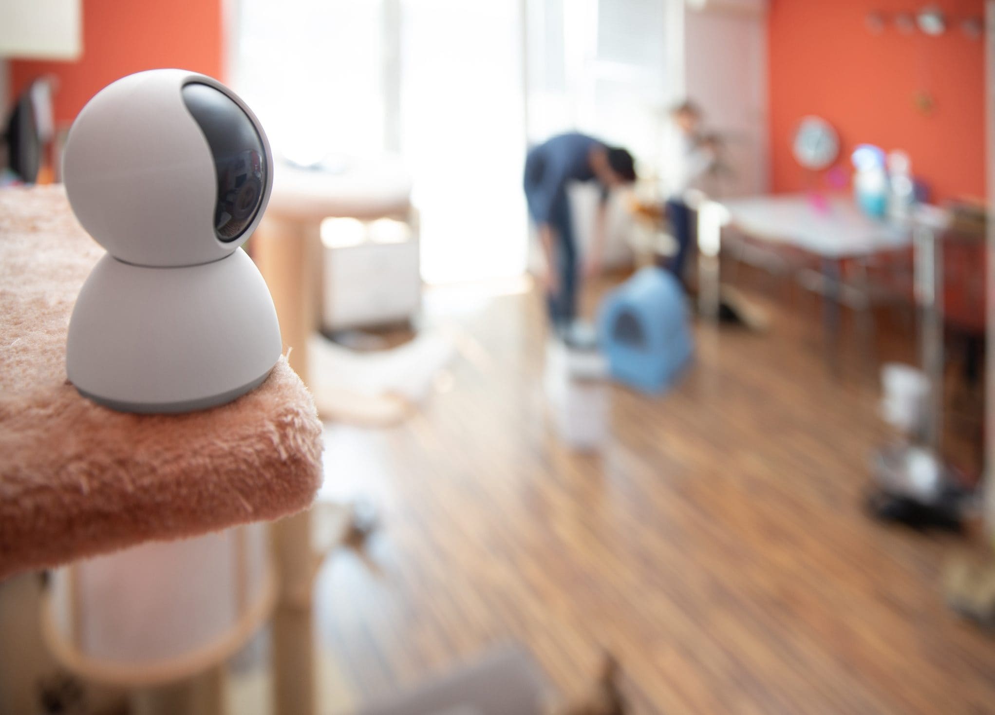 Case in affitto spiate a L'Aquila, webcam in bagno, camera e salotto: le vittime salgono a 47, tra loro anche minori