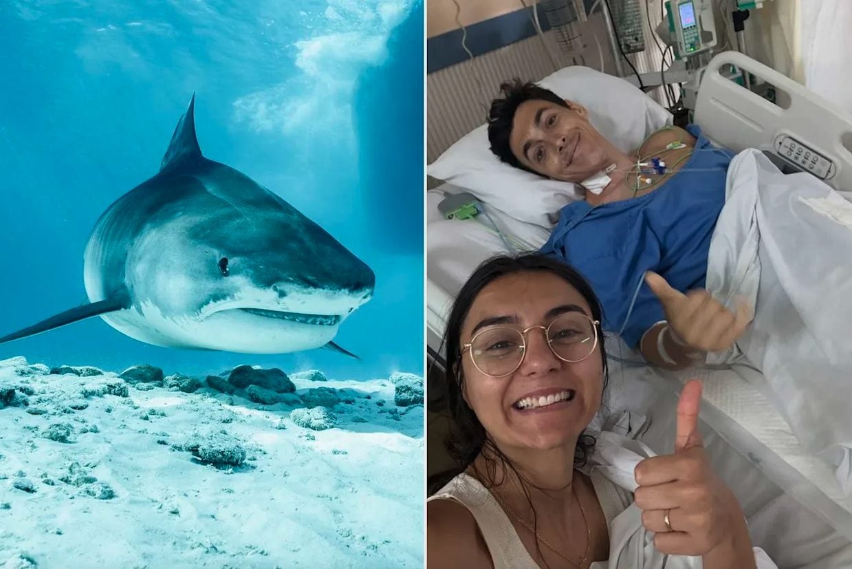 "Matrimonio iniziato alla grande": 31enne va in viaggio di nozze alle Maldive e uno squalo gli porta via una gamba