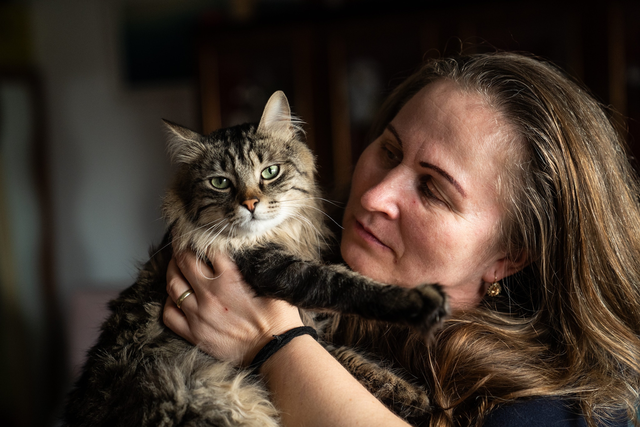 Cani e gatti come beni di lusso: la tassazione folle sta uccidendo il diritto alla cura