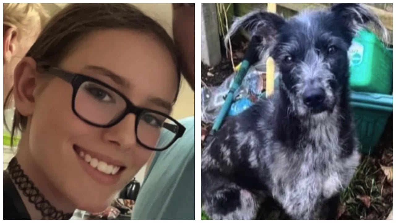 Jamie uccisa a 19 anni dal cane di famiglia, il padre arrestato: “Con noi da cucciolo ma ha azzannato anche me”