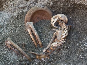 Pompei, riemergono due scheletri di uomini uccisi dall’eruzione: nuove prove dal 79 d.C. grazie all’IA