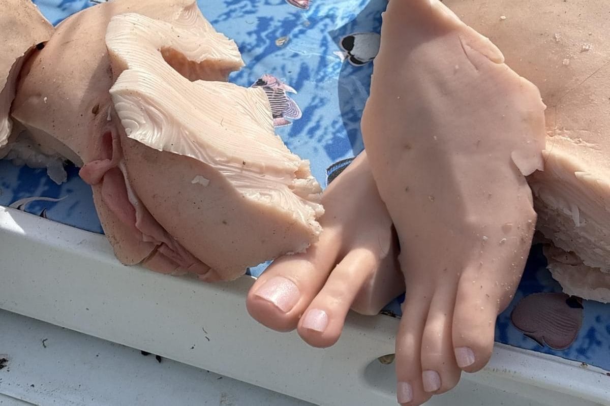 Trovano un sacco nero con “resti umani”, ma era una bambola fatta a pezzi: la curiosa scoperta a Porto Cesareo