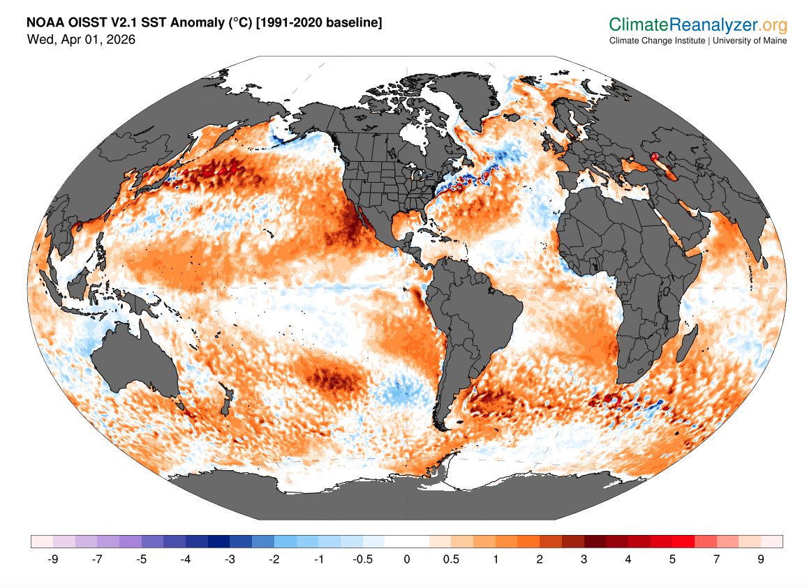 Clima, allarme di Betti (CNR): "Oceani caldi e arriva il Super Niño, il mondo non ha mai visto nulla di simile"