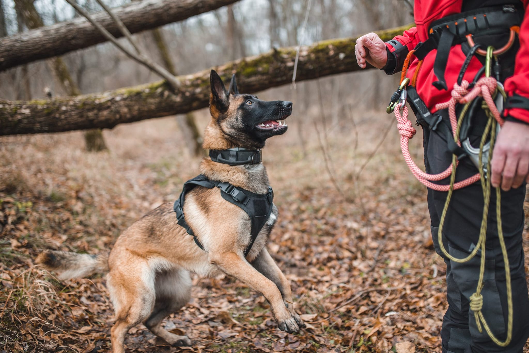 Esce di casa a Sulmona e scompare, si cerca la 25enne Prisca. La sorella: "Aiutateci, è molto fragile"